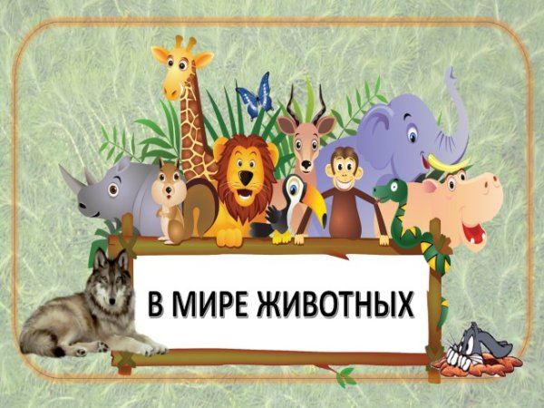 В мире животных для детей