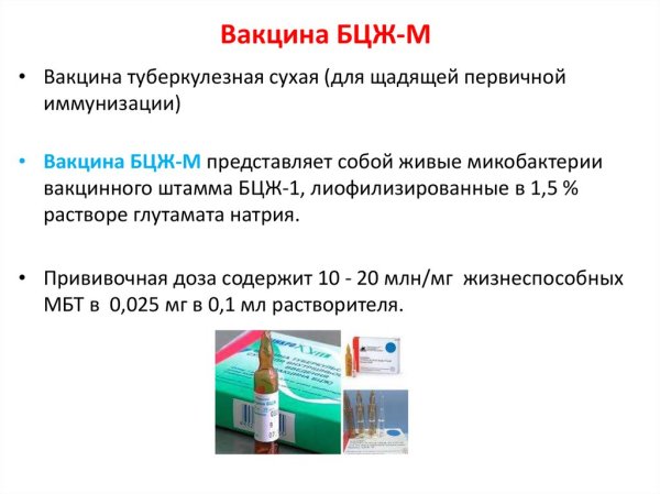 Вакцина БЦЖ форма выпуска