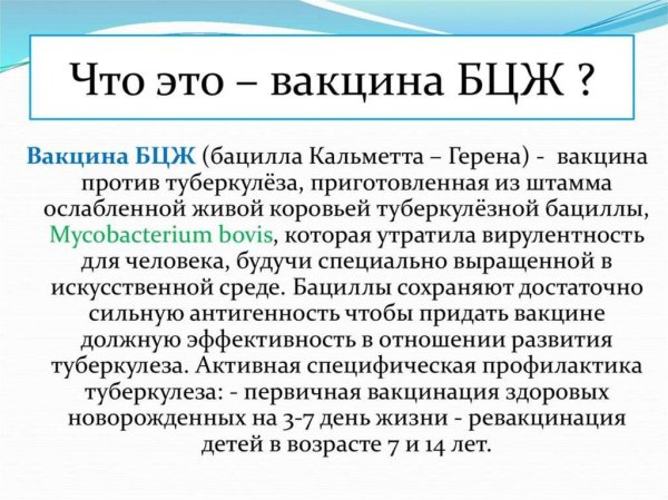 БЦЖ вакцина расшифровка