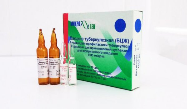 Туберкулез вакцина БЦЖ