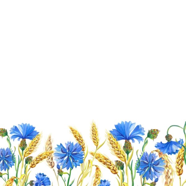 Рамка цветами васильки для текста