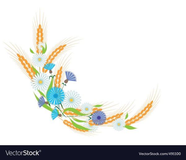 Рамка колосья васильки