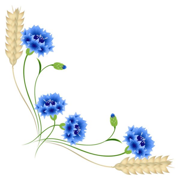 Уголки васильки