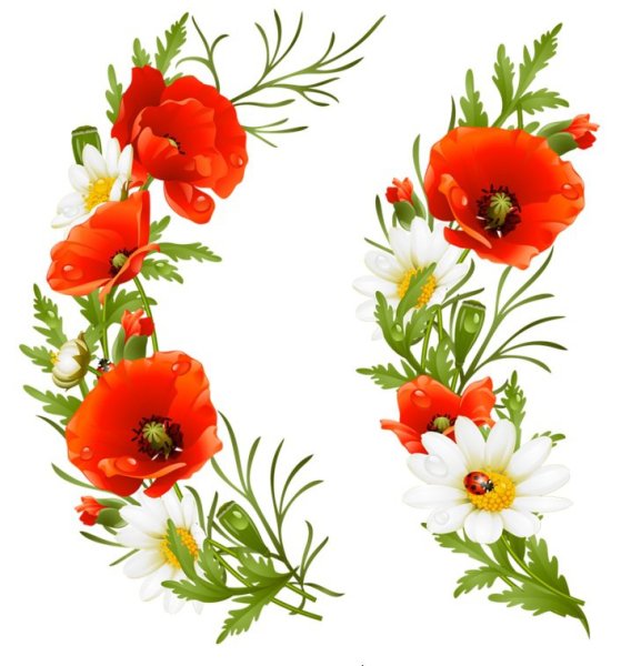 Орнамент из полевых цветов