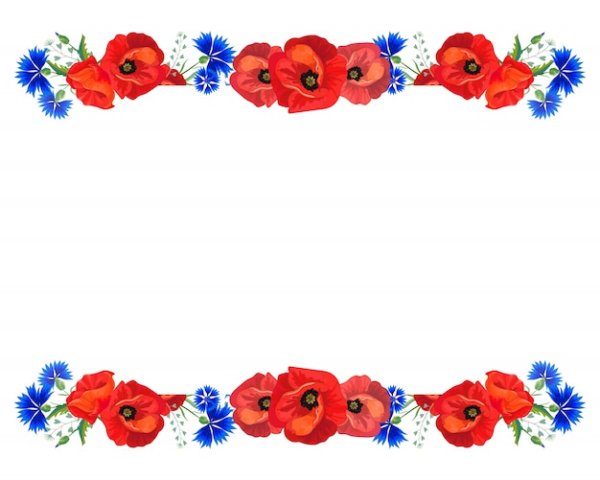 Рамки прозрачные с маками