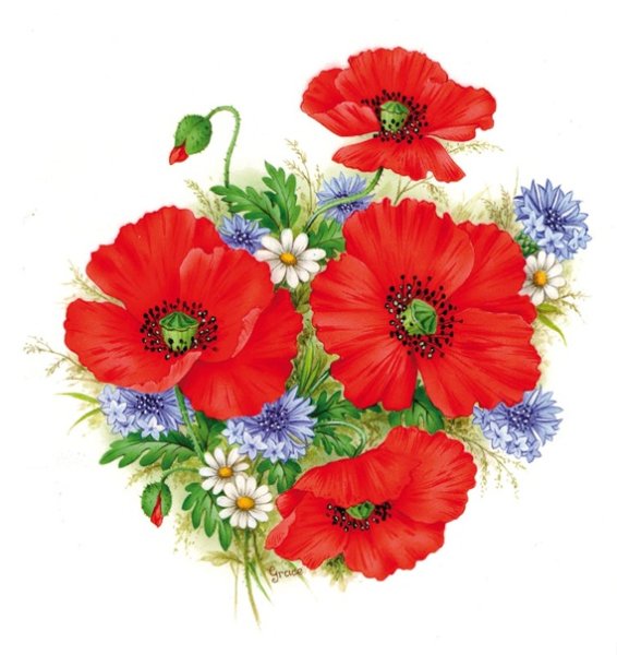 Маки и васильки