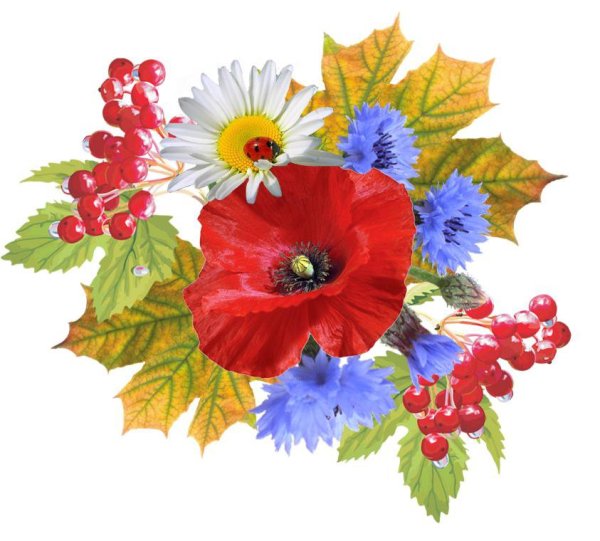 Символ Украины цветок