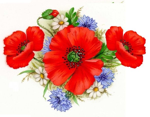 Украинские цветы