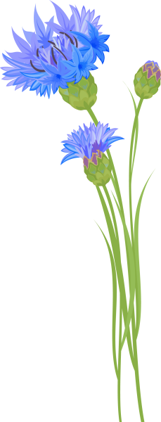 Васильки мультяшные