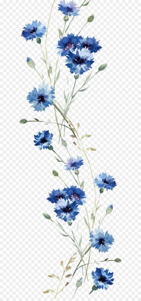 Васильки орнамент