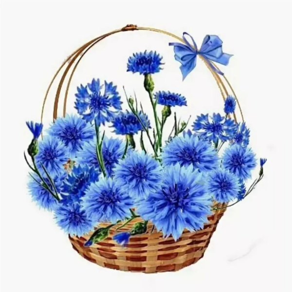 Васильки в корзине