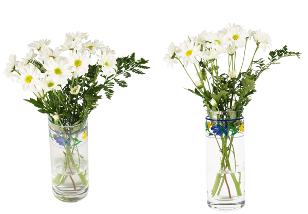 Ваза с полевыми цветами