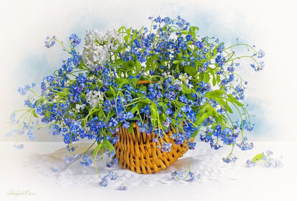 Букет незабудок