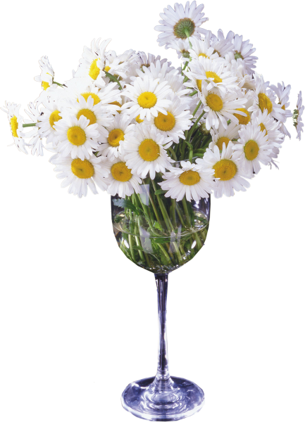 Ромашки в прозрачной вазе