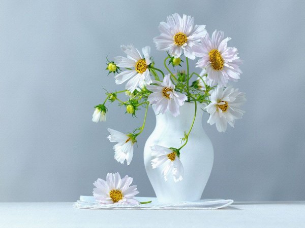 Букет белых ромашек в вазе