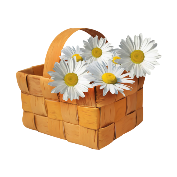 Корзина с цветами ромашки