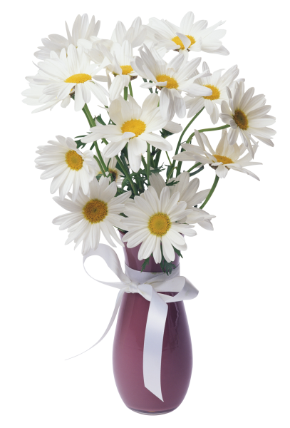 Букет ромашек