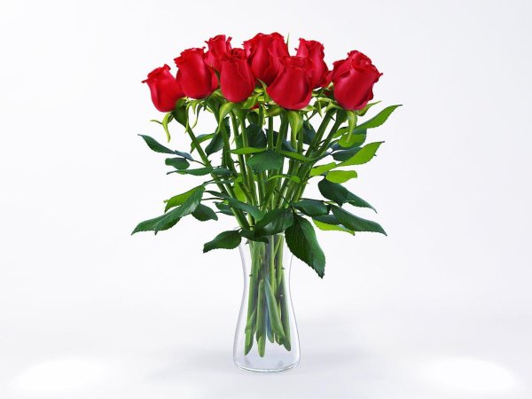 Красные цветы в вазе