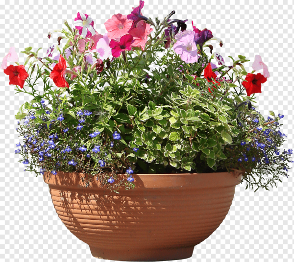 Уличные цветы в горшках