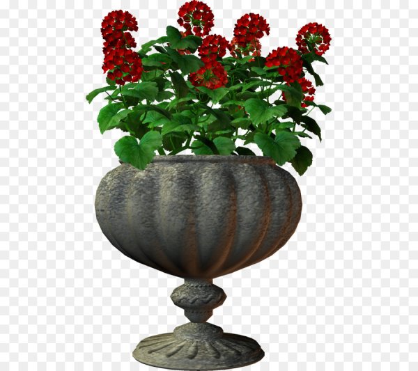 Цветы в вазоне на прозрачном фоне