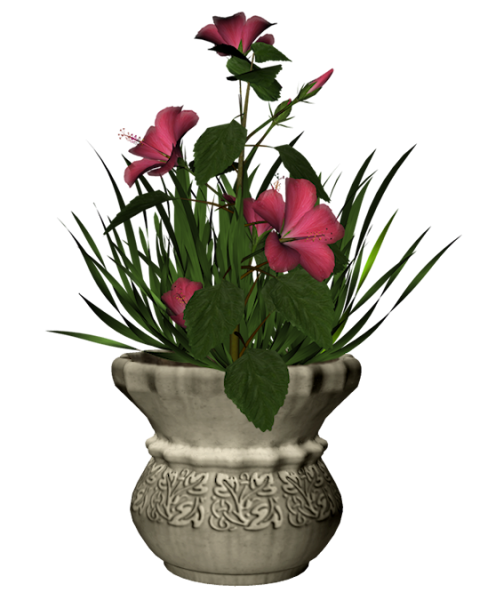 Вазоны с цветами для фотошопа