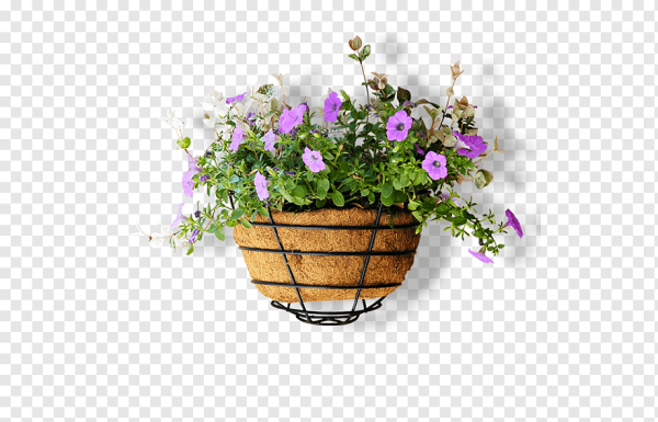 Горшок с цветами на прозрачном фоне