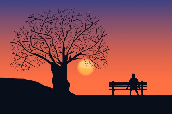 Дерево вечером рисунок