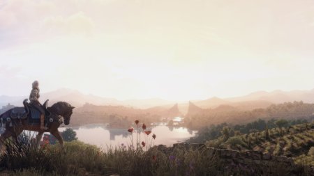 Игровая панорама