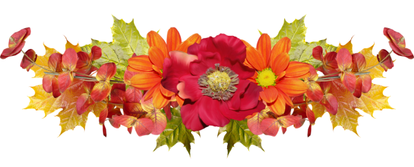 Осенний букет на белом фоне