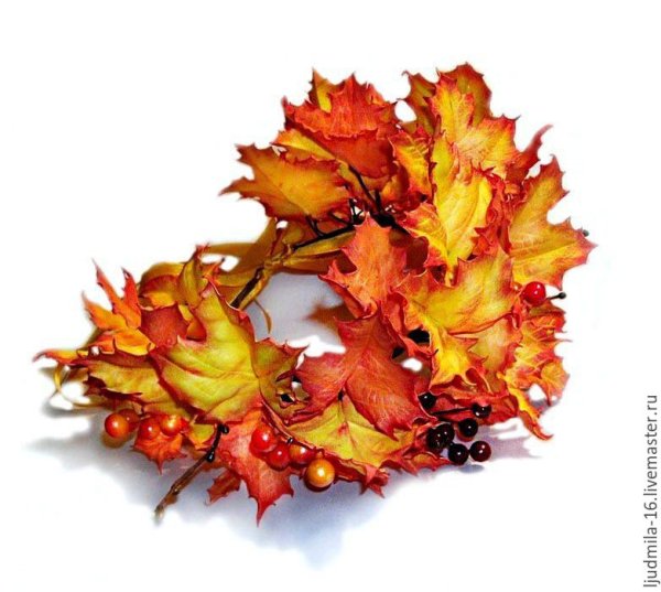 Венок из осенних листьев для фотошопа