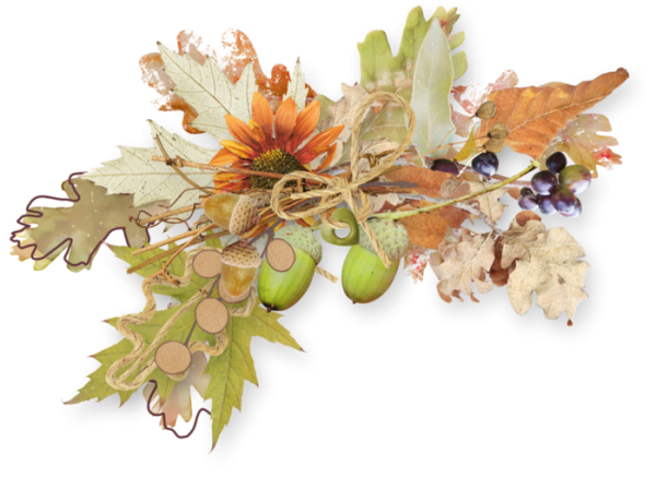 Осенние кластеры на прозрачном фоне