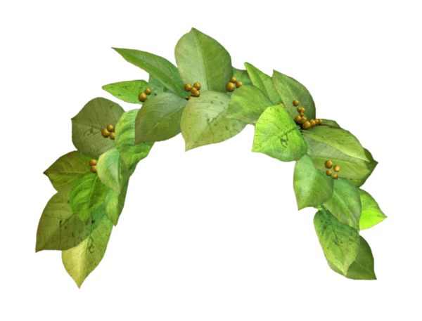 Листочки венок на голову зеленые