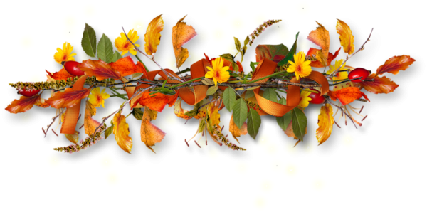 Осенняя ветка на прозрачном фоне
