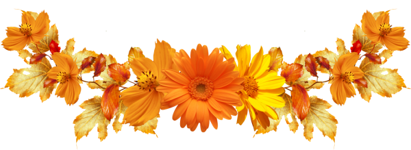 Осенние цветы на прозрачном фоне