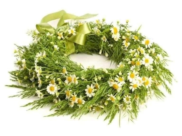 Венок из полевых цветов с травой