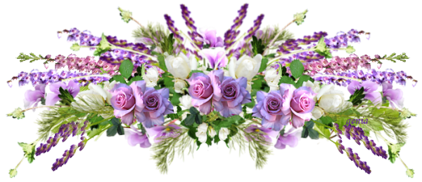 Веночек на голову из полевых цветов на прозрачном фоне