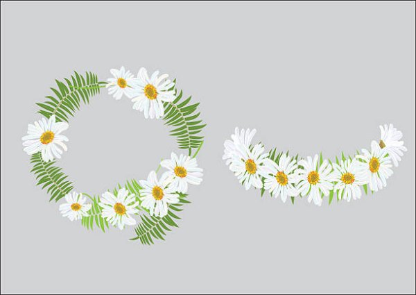 Ромашковый венок в векторе
