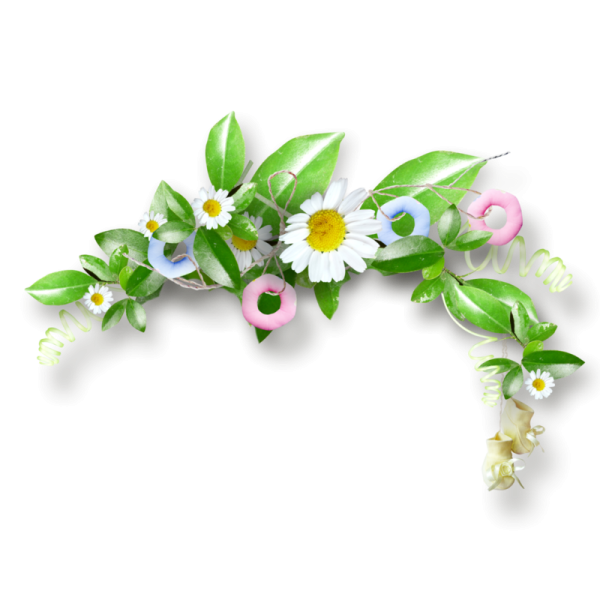 Ромашки венок на прозрачном фоне
