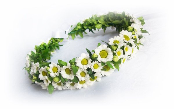 Венок из ромашек для фотошопа на голову