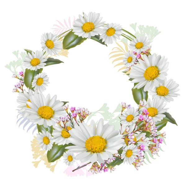 Круглая рамка из ромашек