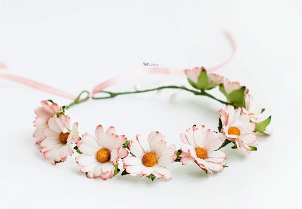 Ромашки венок