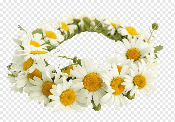 Венок из ромашек для фотошопа