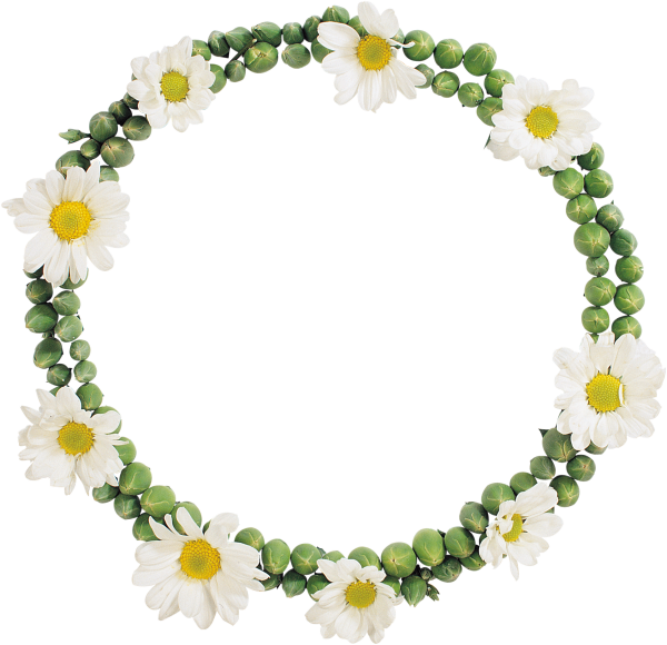 Круглая рамка с ромашками