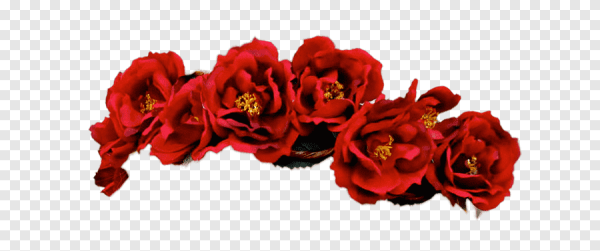 Венки из цветов на голову на прозрачном фоне