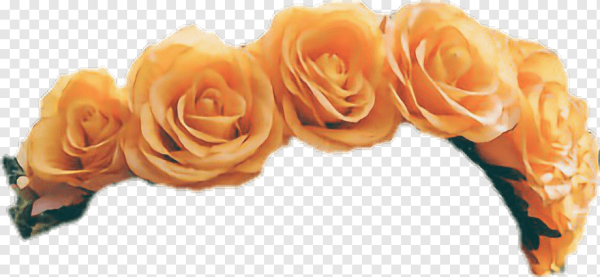 Оранжевый венок без фона