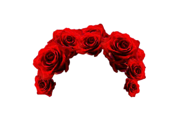 Венец из роз
