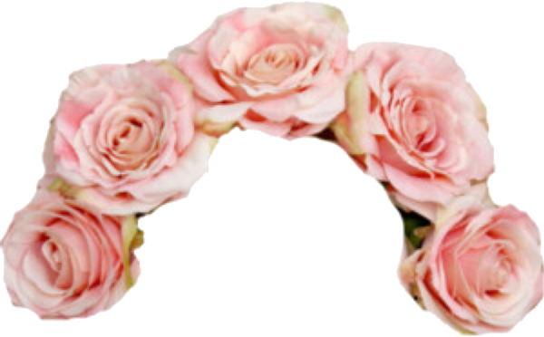 Венок из розовых роз на прозрачном фоне