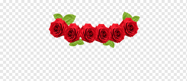 Венок из роз на белом фоне
