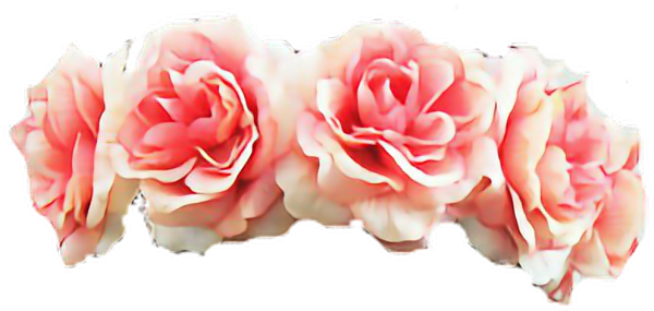 Венок из роз на белом фоне