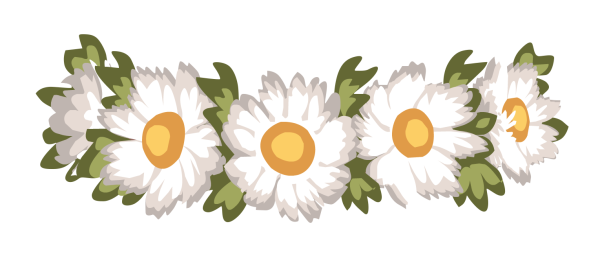Ромашковый венок на прозрачном фоне